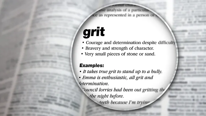 GRIT(やり抜く力)の辞書での定義