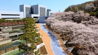 中央大学が大転換！多摩キャンパス新学部から読み解く大学教育の...